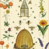 Juliste Cavallini - Bees & Honey 2