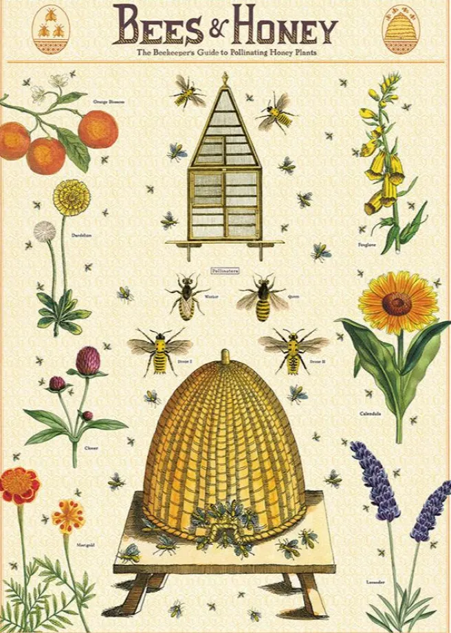 Juliste Cavallini - Bees & Honey 2