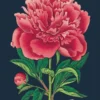 Juliste Cavallini - Botany Study