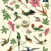 Juliste Cavallini - Hummingbirds
