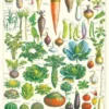 Juliste Cavallini - Le Jardin