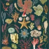 Juliste Cavallini - Ocean Flora