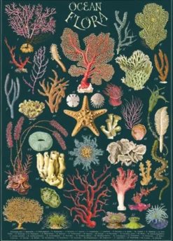 Juliste Cavallini - Ocean Flora