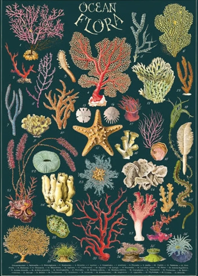 Juliste Cavallini - Ocean Flora