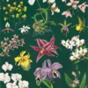 Juliste Cavallini - Orchid