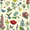 Juliste Cavallini - Pollinators