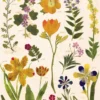 Juliste Cavallini - Pressed Flowers