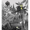 Juliste Muumi 50x70 - Valaistut talot