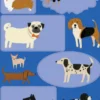 Kirjepaperisetti Roger la Borde - Shaggy Dogs