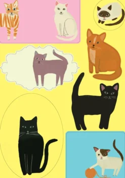Kirjepaperisetti Roger la Borde - Cat Etticate