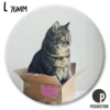 Magneetti Pickmotion L - Kissa laatikossa
