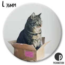 Magneetti Pickmotion L - Kissa laatikossa