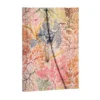 Muistikirja Paperblanks - Anemone, Midi