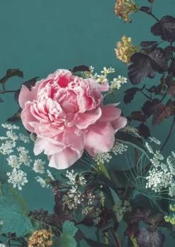 2-osainen kortti Kreetta Järvenpää - Peony Portrait