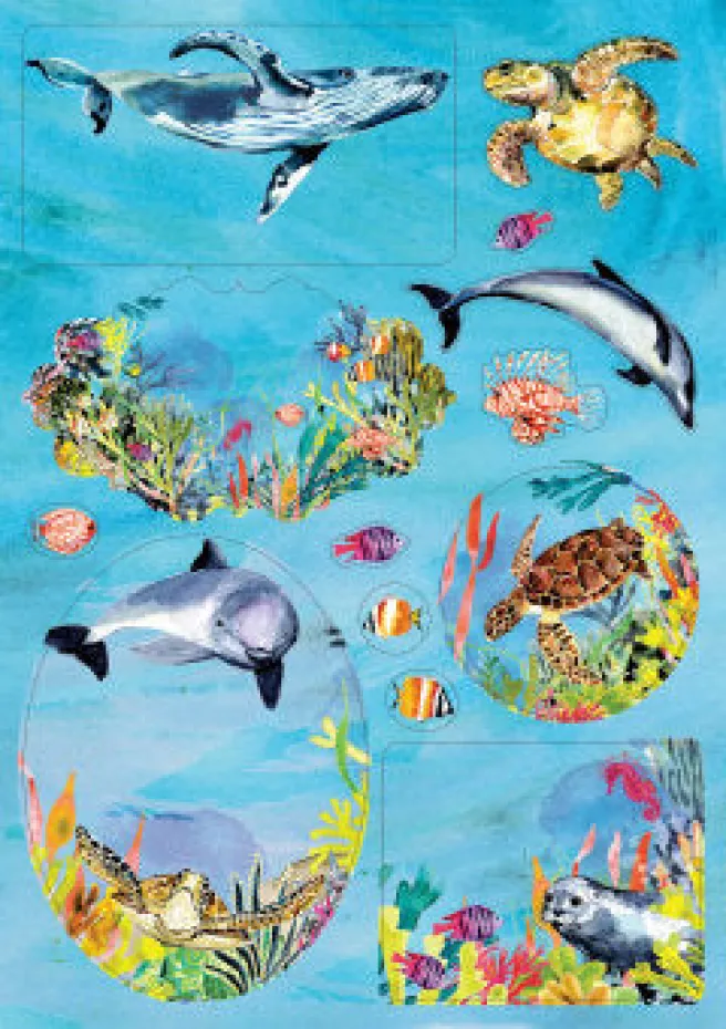 Pakettitarrat Roger La Borde - Oceania