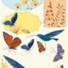 Pakettitarrat Roger La Borde - Hummingbird