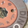 Palapeli Londji - Dinos Expolorer
