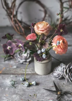 Postikortti Kreetta Järvenpää - Helleborus and Friends