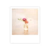 Postikortti Pickmotion - Flower vase