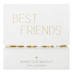Rannekoru HCA Morse Code - Best friends