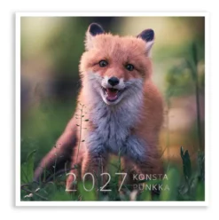 Seinäkalenteri 20x20 2027 Putinki Punkka