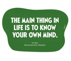 Vinyylitarra Putinki Muumi - The main thing