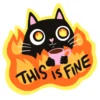 Vinyylitarra Putinki Sandberg - Helvin konttori, This is fine